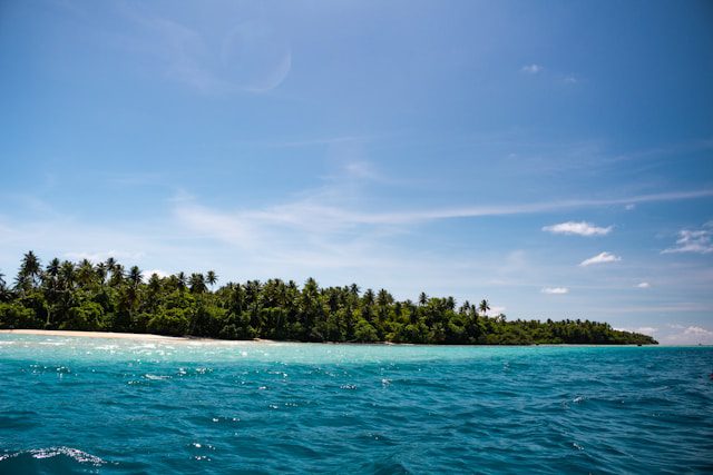 Processing Time For Nauru Visa-Nauru Visa Application A Step-by-Step Guide