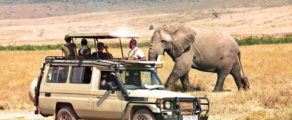 Tanzania safaris ngorongoro safari 1400x575 1 The Tanzanian Story: Why Dar Es Salaam Remains A Dominant Player In African Tourism