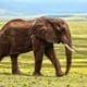 10 African Countries to Visit in 2021 46 10 African Countires