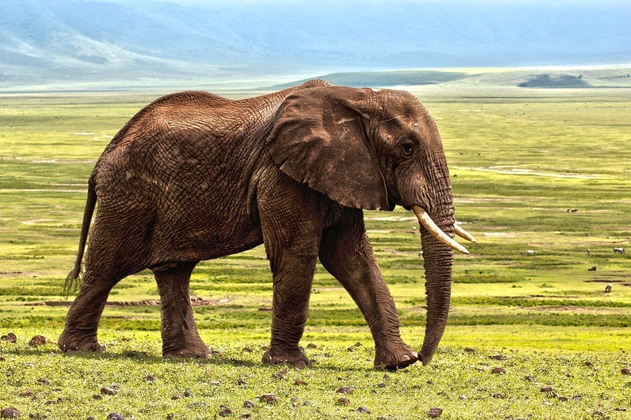 10 African Countries to Visit in 2021 36 10 African Countires