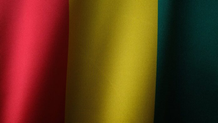 How to Apply for an E-Visa for Guinea A Complete Guide How to Apply for an E-Visa for Guinea A Complete Guide