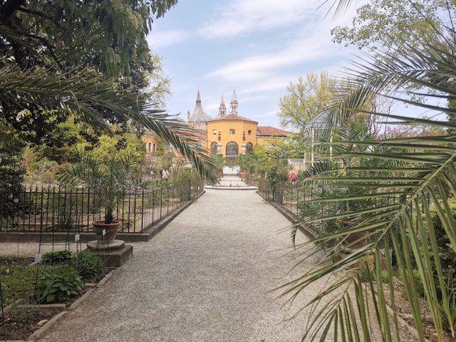Padua university-20 European Budget-Friendly Universities In Schengen That Offer Affordable Tuition