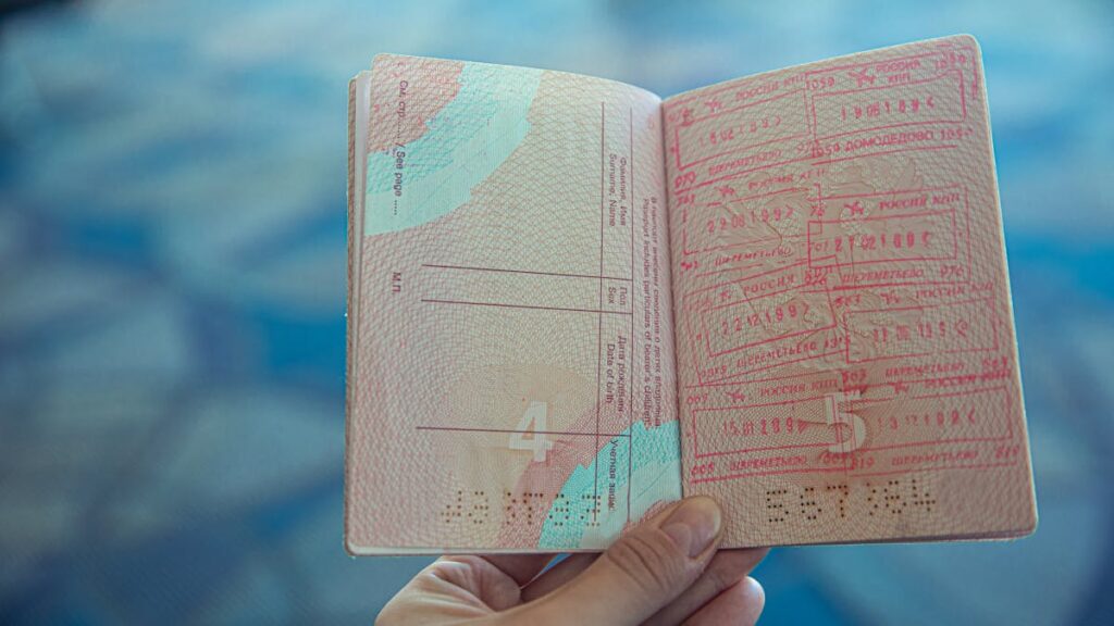 Visa Types For Guinea-How to Apply for an E-Visa for Guinea A Complete Guide