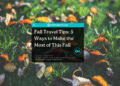 Fall travel tips