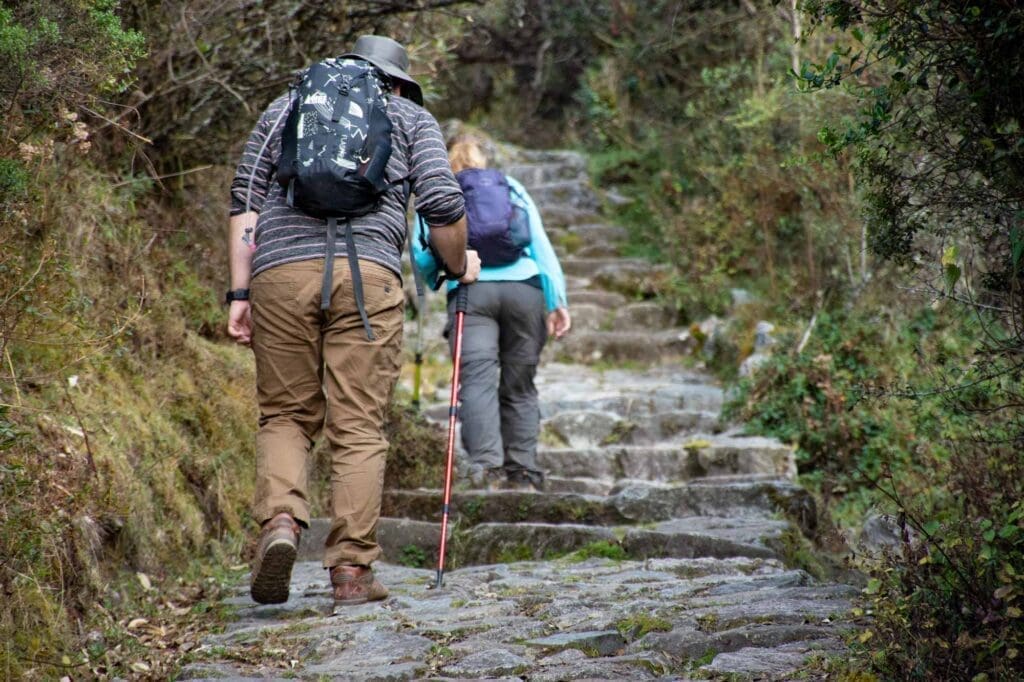 Inca Trail walk into thwe forest 1 Tips & Guides: The Incredible Inca Trail to Machu Picchu Hike