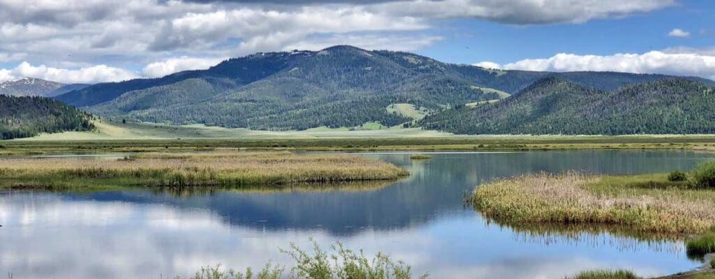 Red Rock Lake Refuge Widgeon Pond 12850 x 500 sbc 15 Best Things To Do in Dillon, Montana