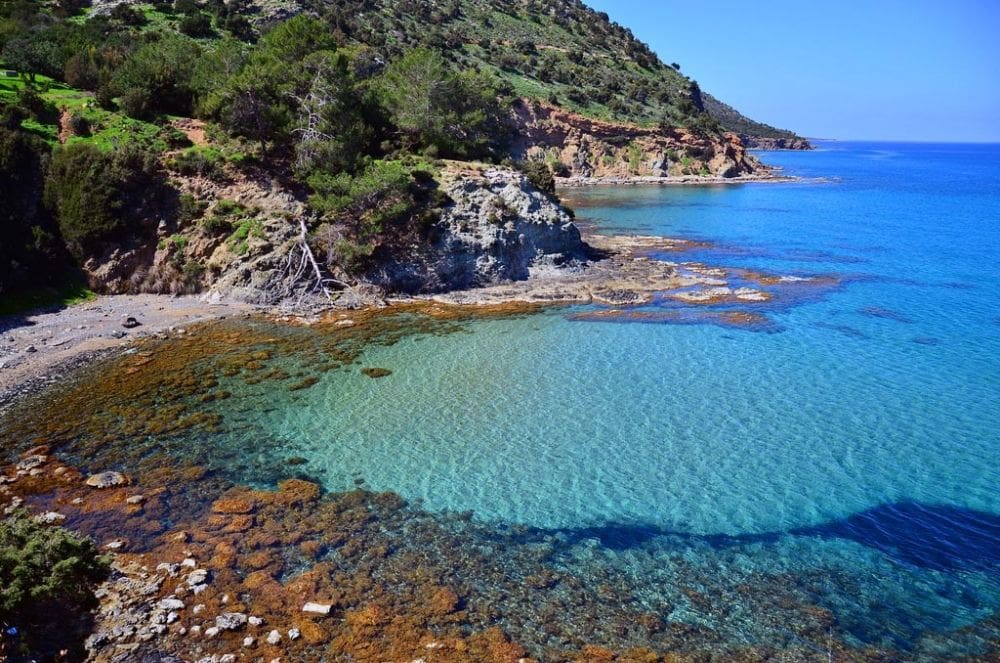 akamas national park 185636 15 Best Things To Do in Paphos, Cyprus