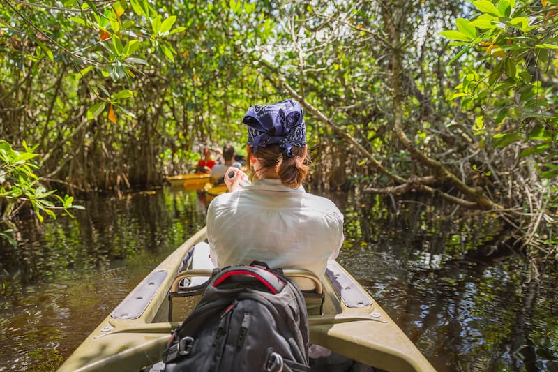 key west kayak tours mangrove forest 15 Best Things To Do in Key West, Florida