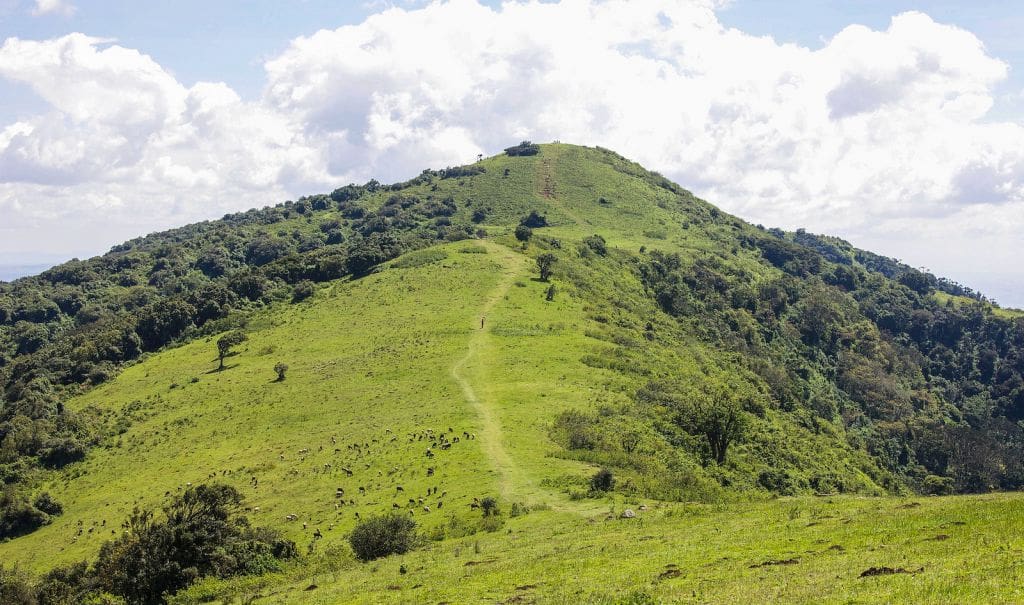 ngong hills by ninara 25 Exciting Things To Do in Nairobi