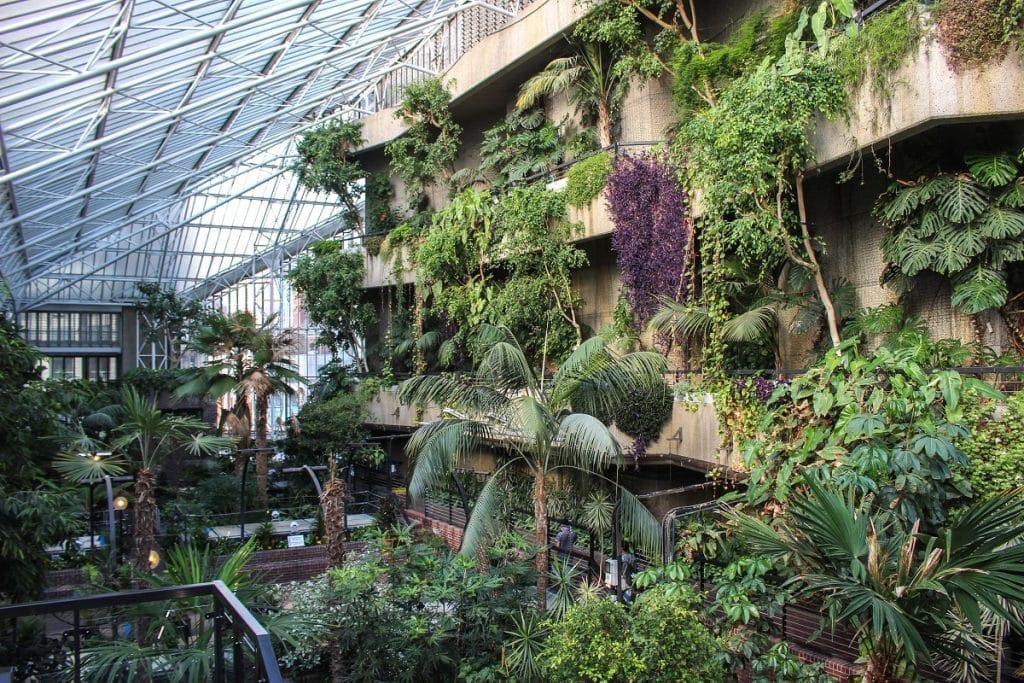 Barbican Conservatory 1024x683 1 25 Free Things to Do in London, England