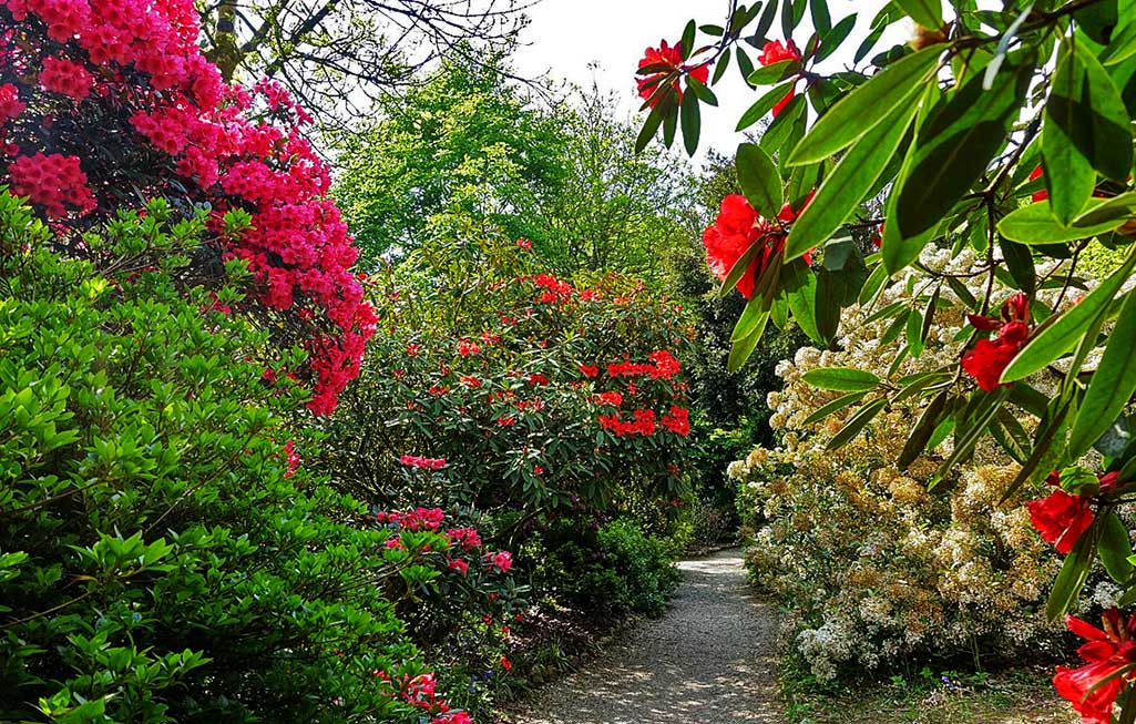trengwainton garden 1 original 20 Best Things To Do in Penzance, England