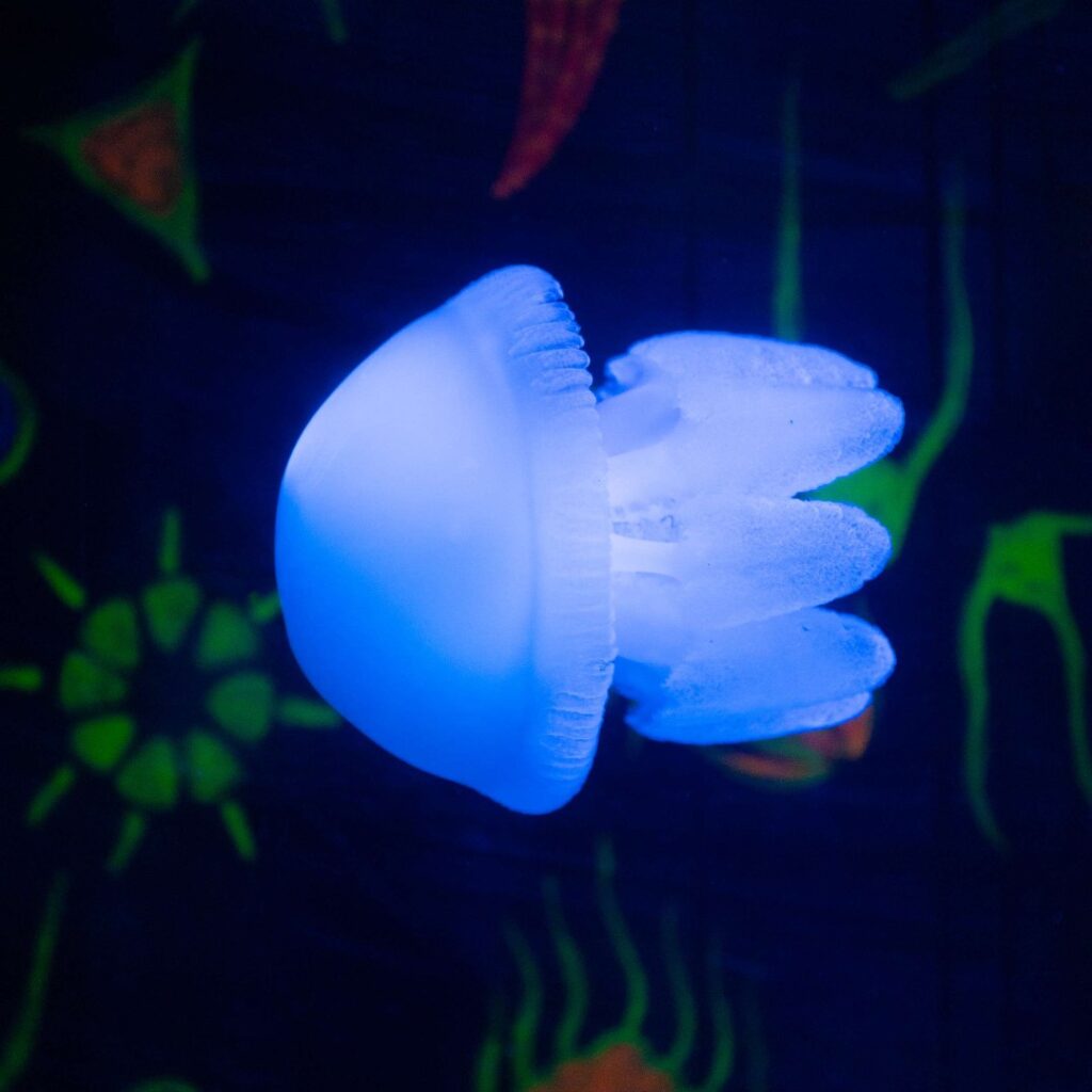 Abu Dhabi History Museum and Aquarium-Discover the Best of Abu Dhabi Top Tourist Attractions You Can't Miss