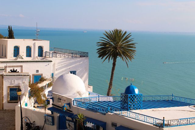 All you Need to know About Tunisia Visa Policy-Tips For Applying For Tunisia Visa