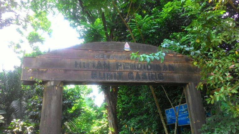 Bukit Gasing Forest Reserve-Kuala Lumpur Adventures Must See Spots and Recommended Activities