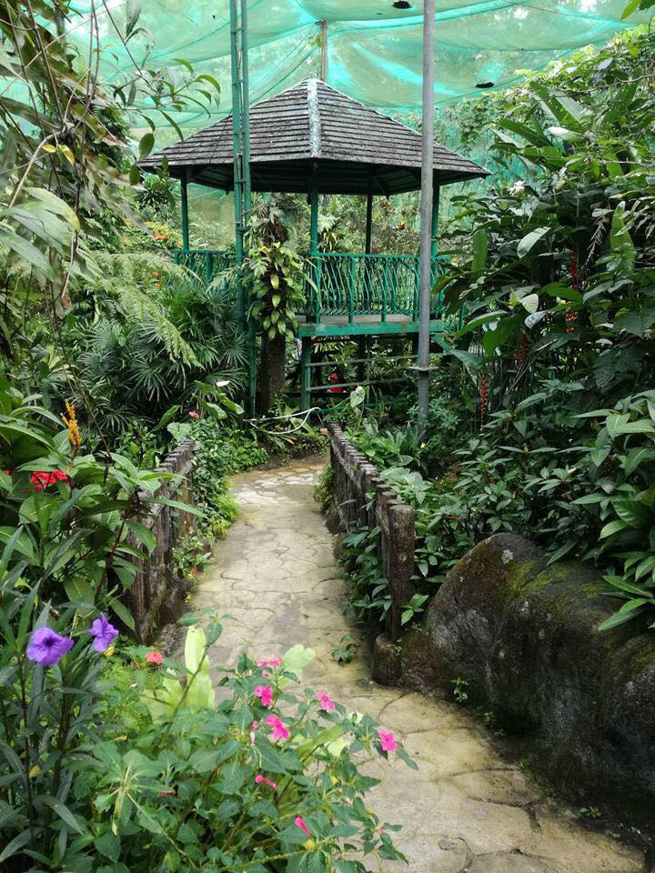 Kuala Lumpur Butterfly Park-Kuala Lumpur Tourist Spots Must See Spots and Recommended Activities