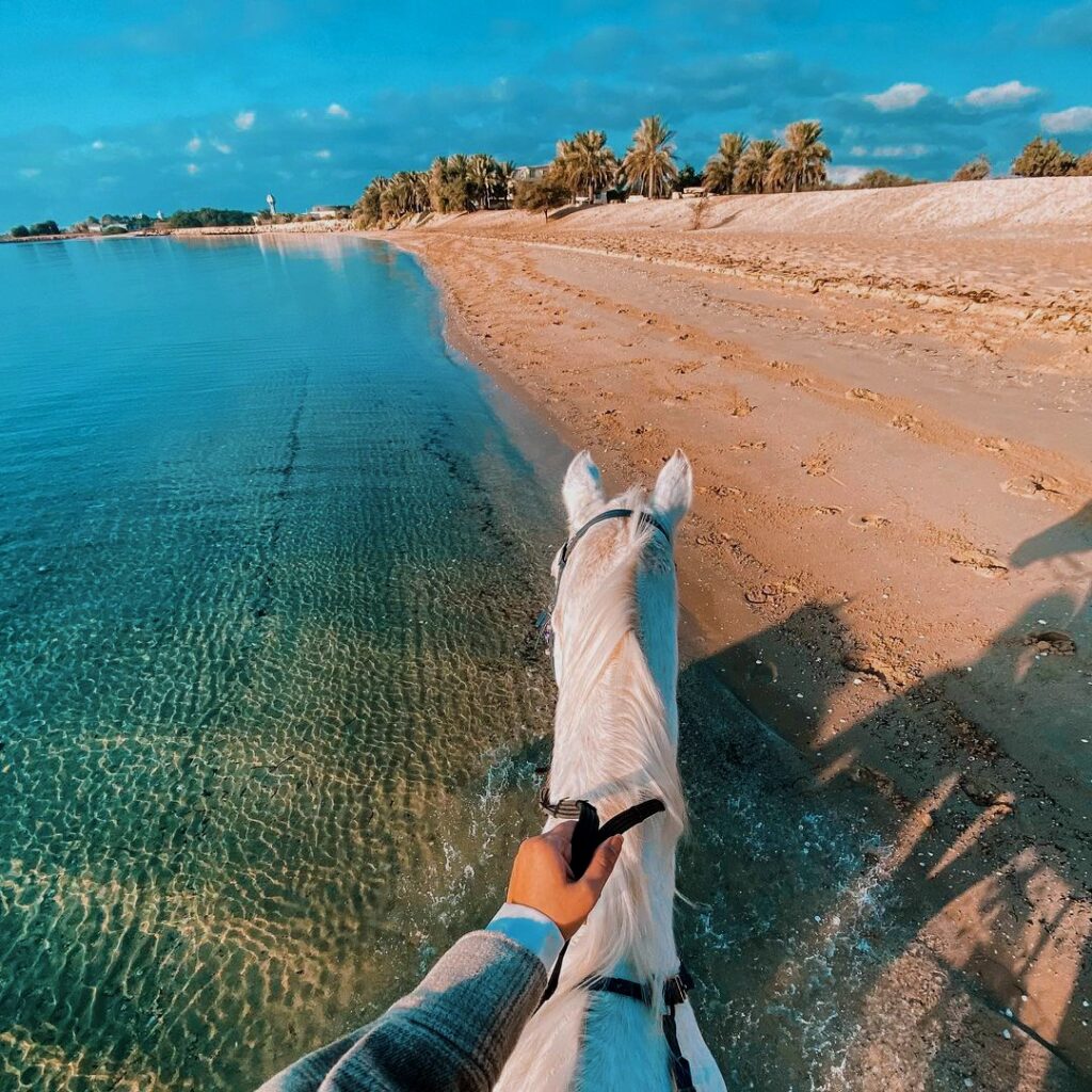 Sir Bani Yas Island-Discover the Best of Abu Dhabi Top Tourist Attractions You Can't Miss