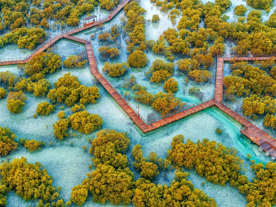Ubail Mangrove Park-Discover the Best of Abu Dhabi Top Tourist Attractions You Can't Miss