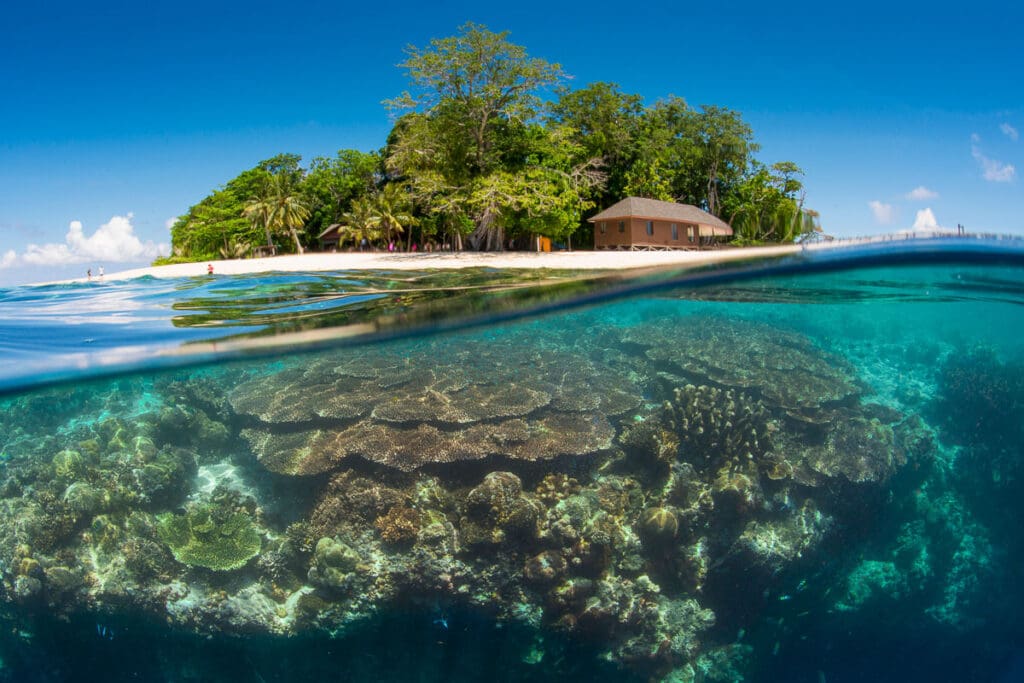 Sipadan Sabah Malaysia Diving 10 Best Islands to Visit in Malaysia
