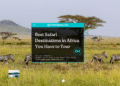 Best Safari Destinations in Africa You Have to Tour