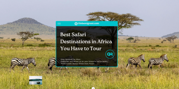 Best Safari Destinations in Africa You Have to Tour