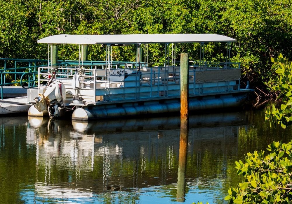 swamp pontoon boat new orleans 7 Best Swamp Tours in New Orleans in 2023