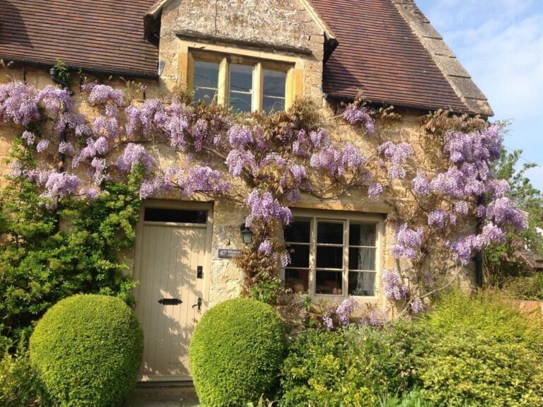 Best Cottages in Bourton