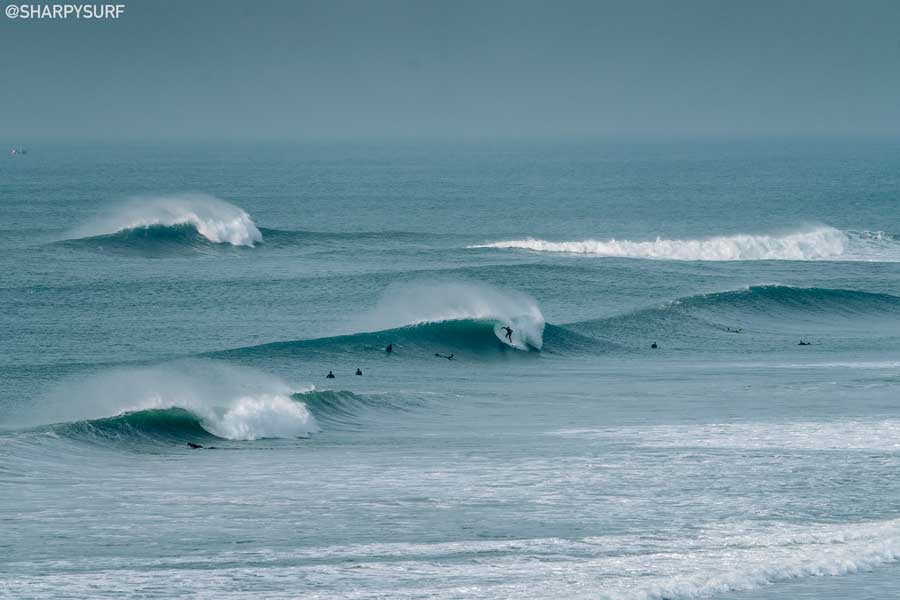 Sharpy Fistral 15 Best Things To Do in Newquay in 2023