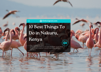 Best things to do in Nakuru