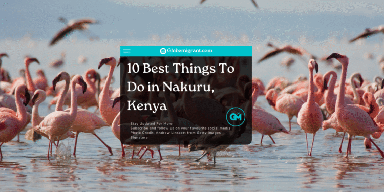 Best things to do in Nakuru