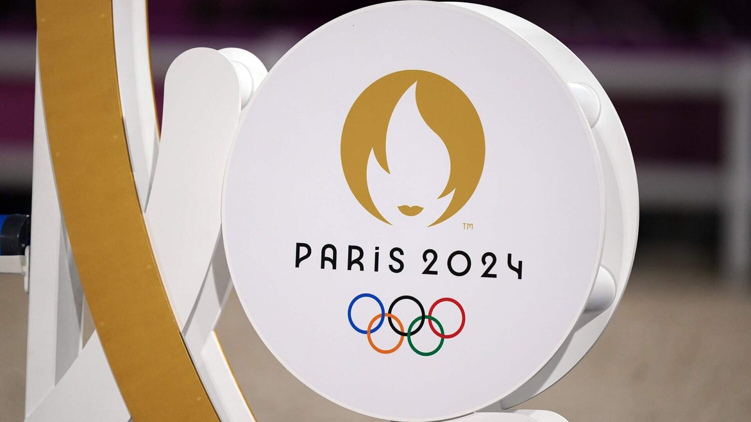 The Importance of Sustainability in Olympic Planning How Will the Host City Meet the Challenge-2024 Olympics