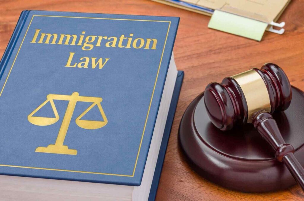 Benefits of Hiring an Immigration Law Firm as a Newcomer