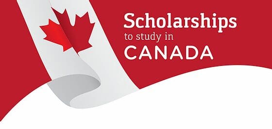 From STEM to Arts Exploring the Diverse Range of Canadian Scholarships Available in 2024