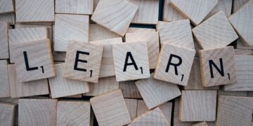 Top 9 International Study Programs Abroad for Learning in 2024-GlobeMigrant2