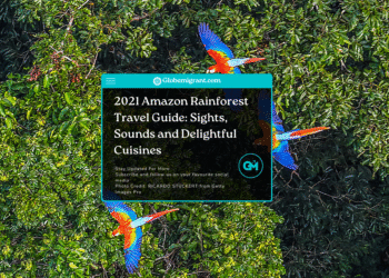 2021 Amazon Rainforest Travel Guide_ Sights, Sounds and Delightful Cuisines- Featured Image