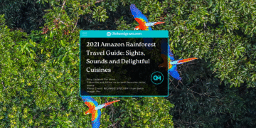 2021 Amazon Rainforest Travel Guide_ Sights, Sounds and Delightful Cuisines- Featured Image