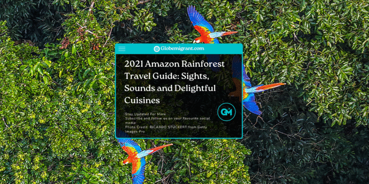 2021 Amazon Rainforest Travel Guide_ Sights, Sounds and Delightful Cuisines- Featured Image