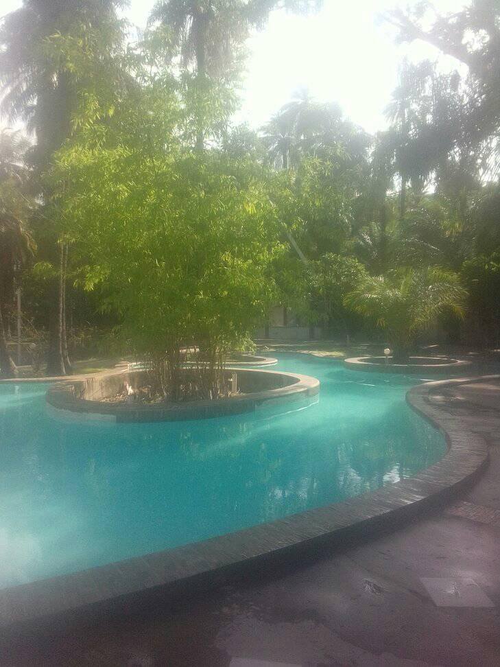 The forest of Makasutu Culture-Gambia As A Travel and Conservation Hub Gambia Heritage Tours