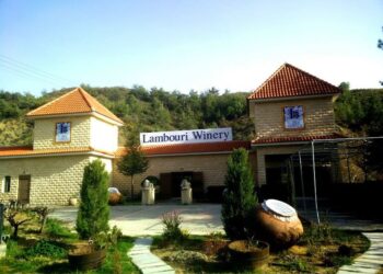 15 Best Wineries in Cyprus (+ Best Wines)