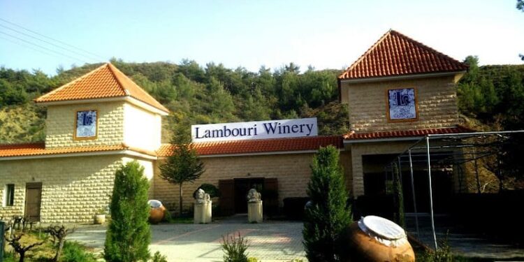 15 Best Wineries in Cyprus (+ Best Wines)