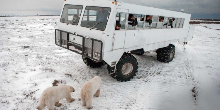 Unique Top 10 places to visit in Canada