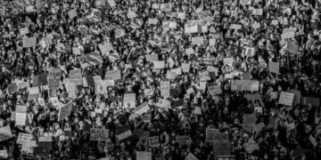 A Contentious New Immigration Law Is Being Decided By France’s Constitutional Court: Activists  Organizes Protest