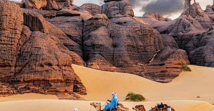 A Comprehensive Guide to Algeria Visa Application 2024