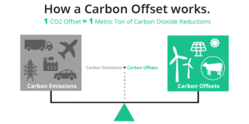 What Travelers Need to Know About Carbon Offsets