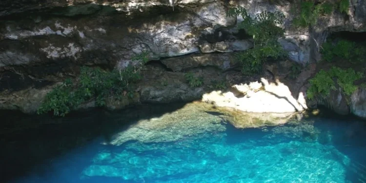 15 Best Cenotes in Mexico (Yucatan)