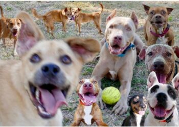 21 Best Things To Do in Puerto Vallarta, Mexico