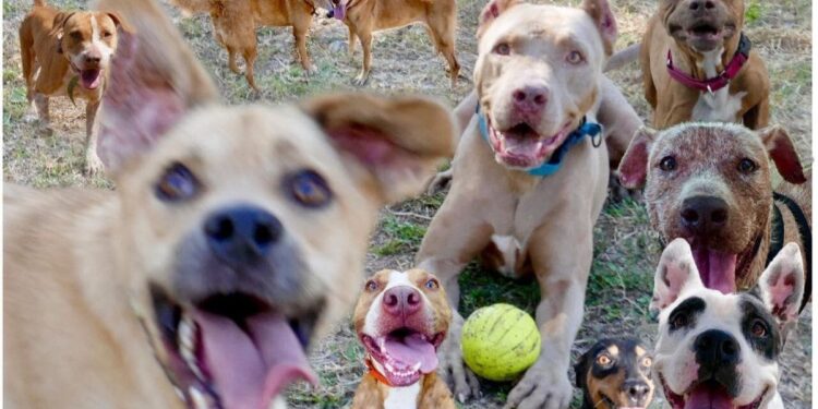 21 Best Things To Do in Puerto Vallarta, Mexico