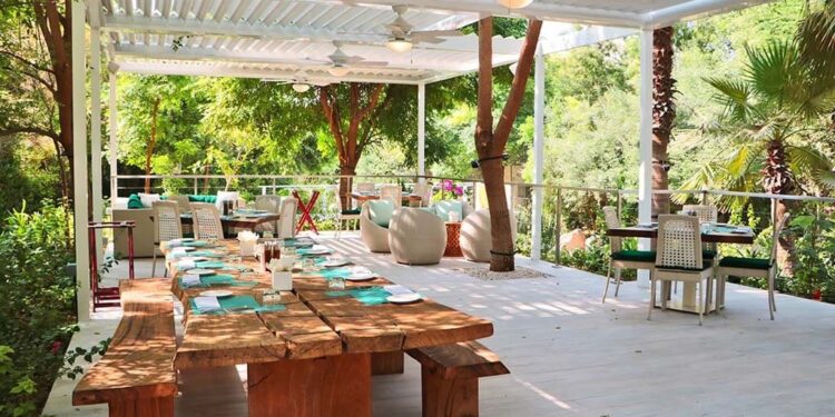 10 Luxury Things to do in Dubai