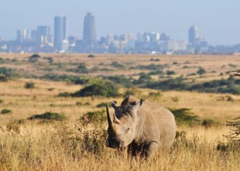 25 Exciting Things To Do in Nairobi
