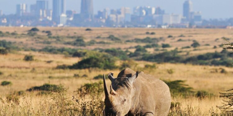 25 Exciting Things To Do in Nairobi