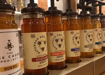 Weekend in Savannah: The Perfect 2 Day Itinerary